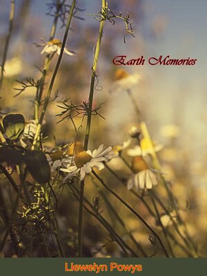 cover image of Earth Memories